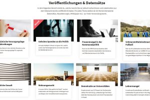 Screenshot "Correctiv.Lokal"