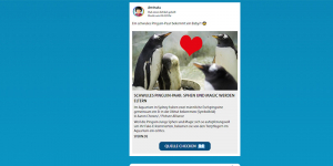 Screenshot des SWR-Fakefinders für Jugendliche